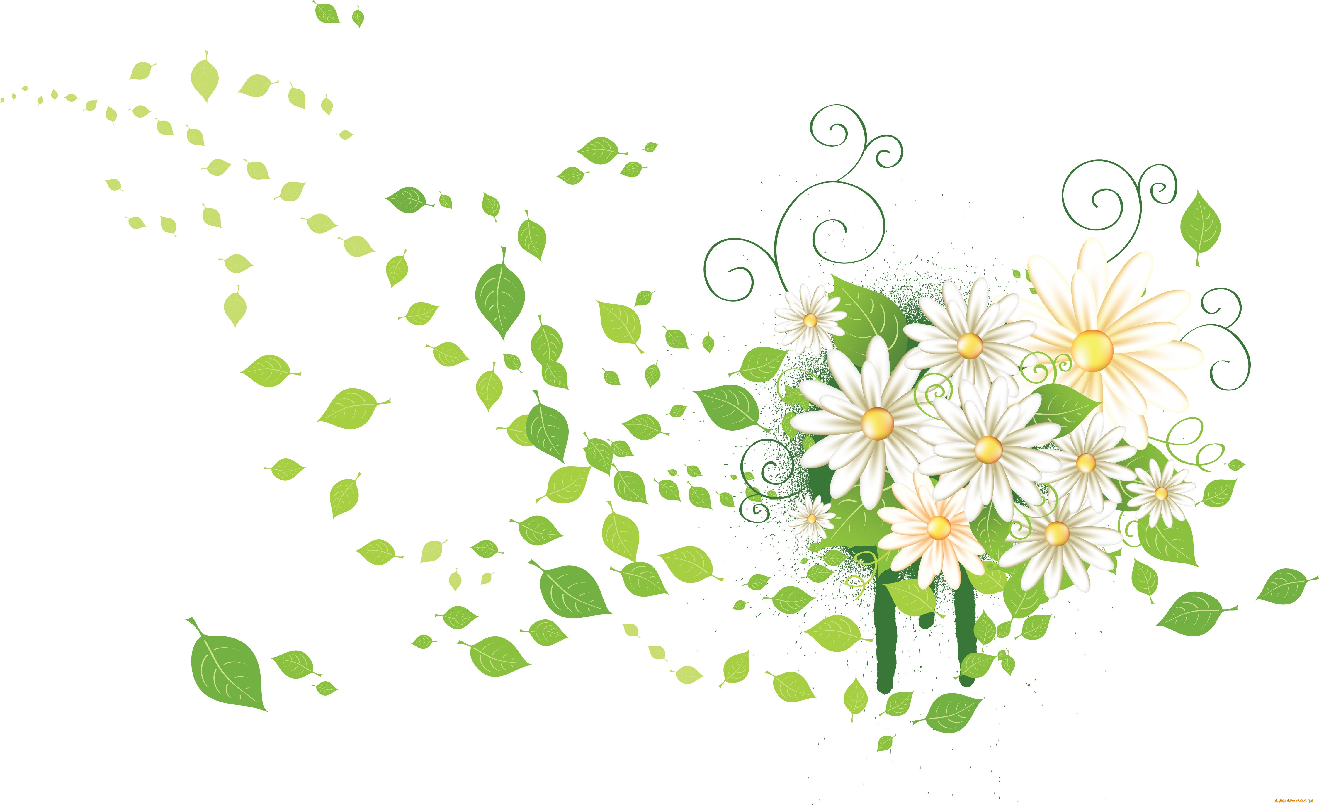  ,  , flowers, , , 